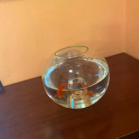 Port Apartamento